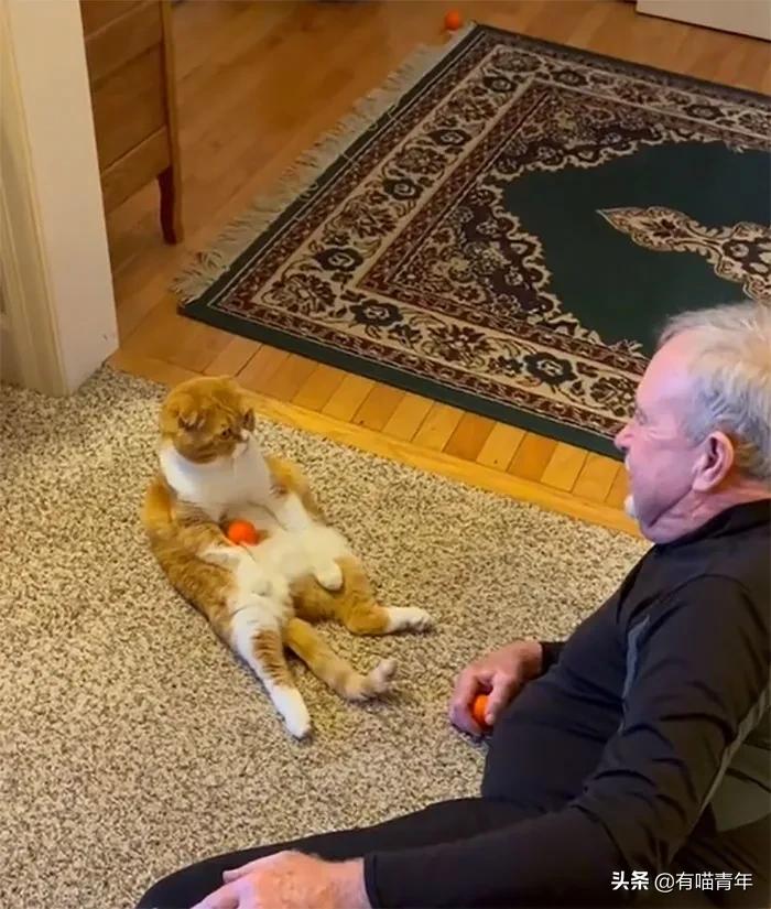 养猫也能治疗癌症?是真的