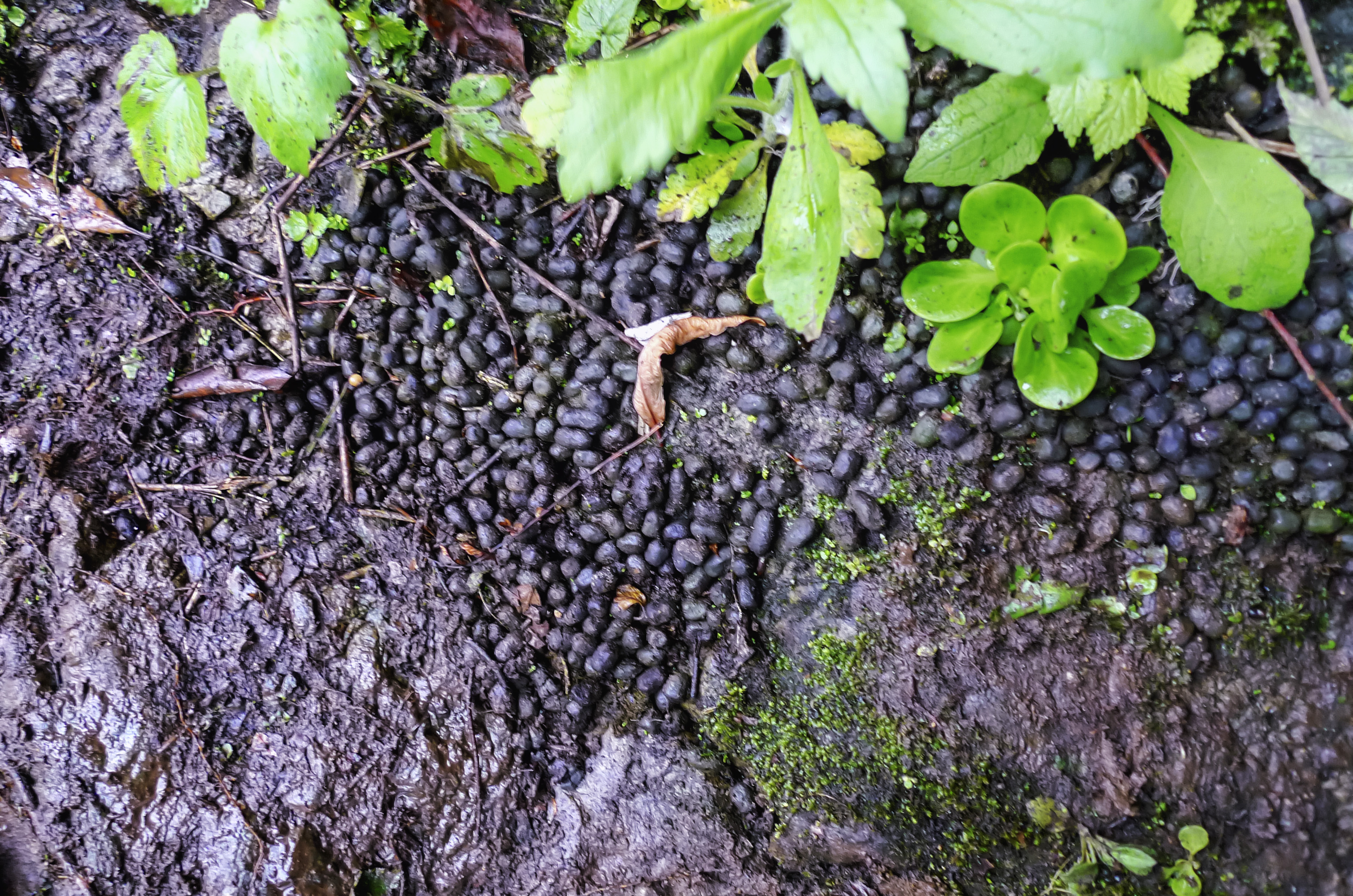 穿越无人区难忘的经历,穿越无人区后半夜的恐怖经历