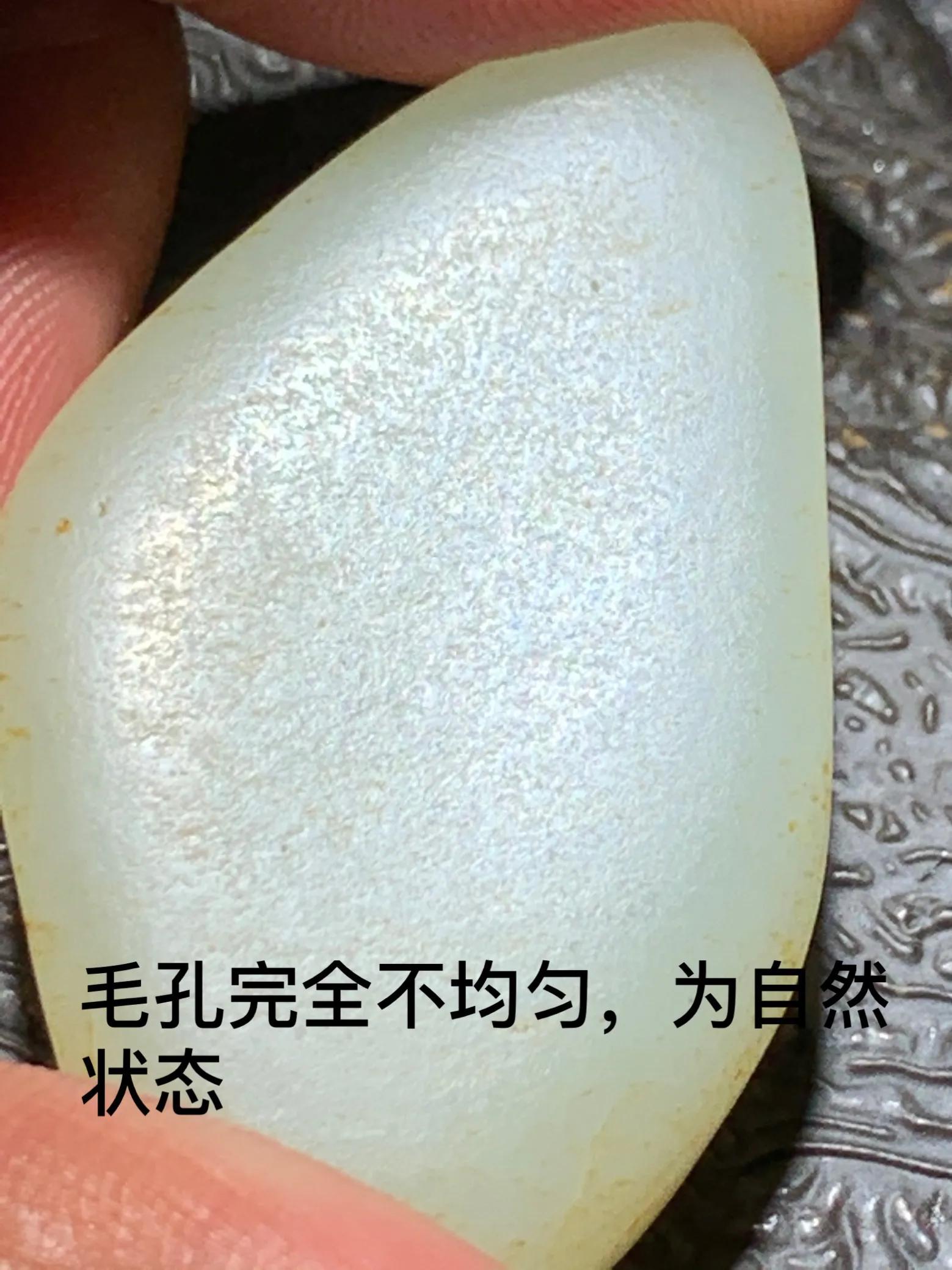 老鸟实战经验100条,老鸟早期网红