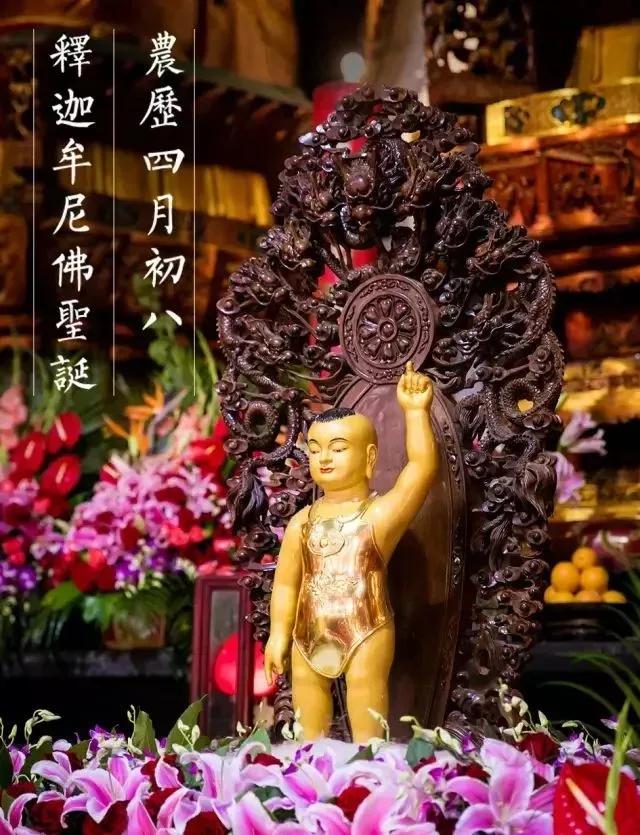 恭迎释迦牟尼圣诞日暨浴佛节,恭迎腊月初八释迦牟尼佛成道日