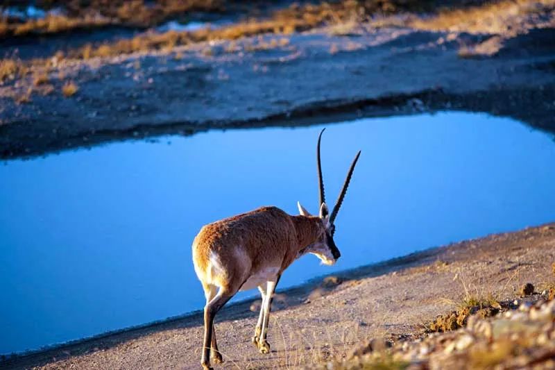 国道317进藏路上的风光,这9条进藏线路值得收藏