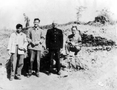 啥是青瓷豆,啥是陶瓷