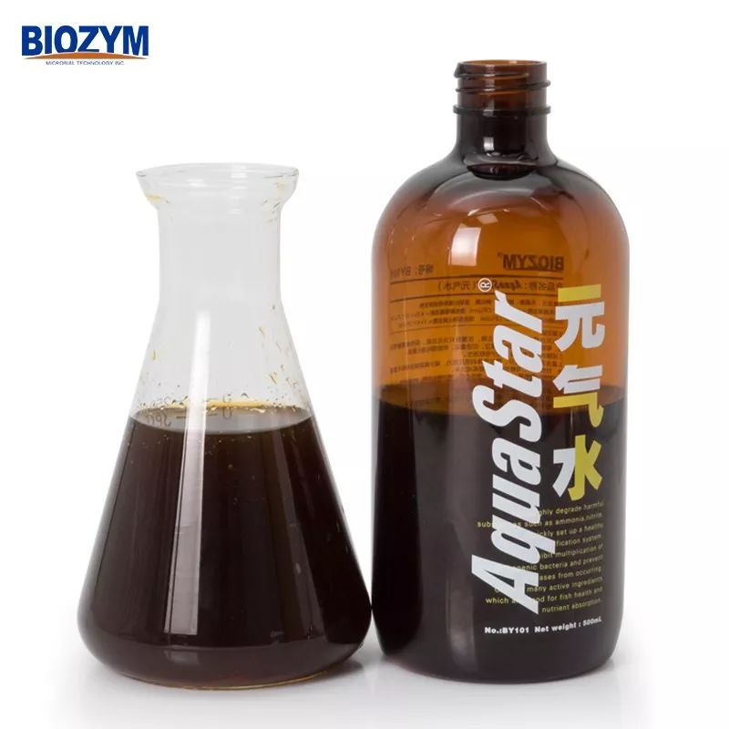 独家，CIPS公布七十款水族新产品，引行业注目