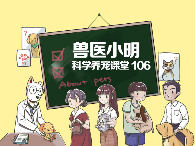 新生犬有疱疹会传染给大狗吗,犬疱疹如何防治