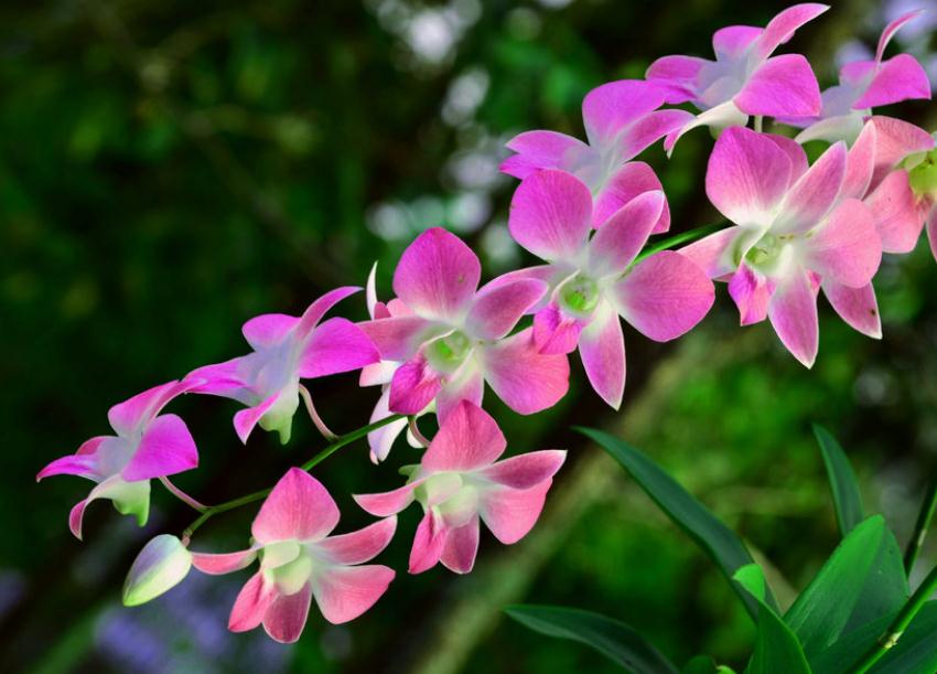 做人留三分说话留七分,话留三分软人留七分暖是什么意思