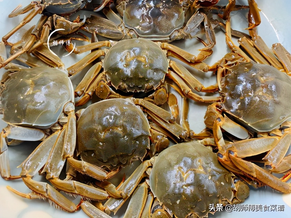 买螃蟹时怎么挑,买螃蟹挑母的还是公的
