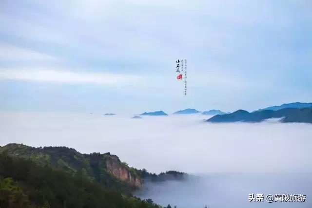 清凉寨樱花最佳赏花时间,清凉寨中华樱花