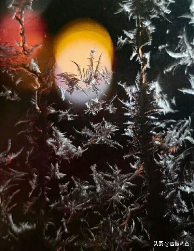 玻璃窗上的霜花像什么,玻璃上的霜花是什么样子