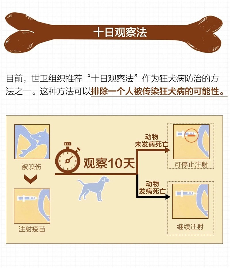 0元给狗狗打疫苗，正确姿势你知道吗？除了狗狗，猫也可以哟
