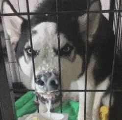 辟谣！通便茶无毒无副作用？小心让你变成“黑心肠”，甚至致癌