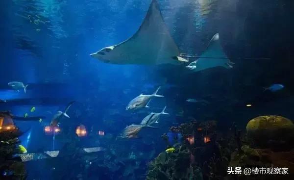 南昌地铁线2号线沿途游玩攻略,南昌四号地铁线游玩攻略