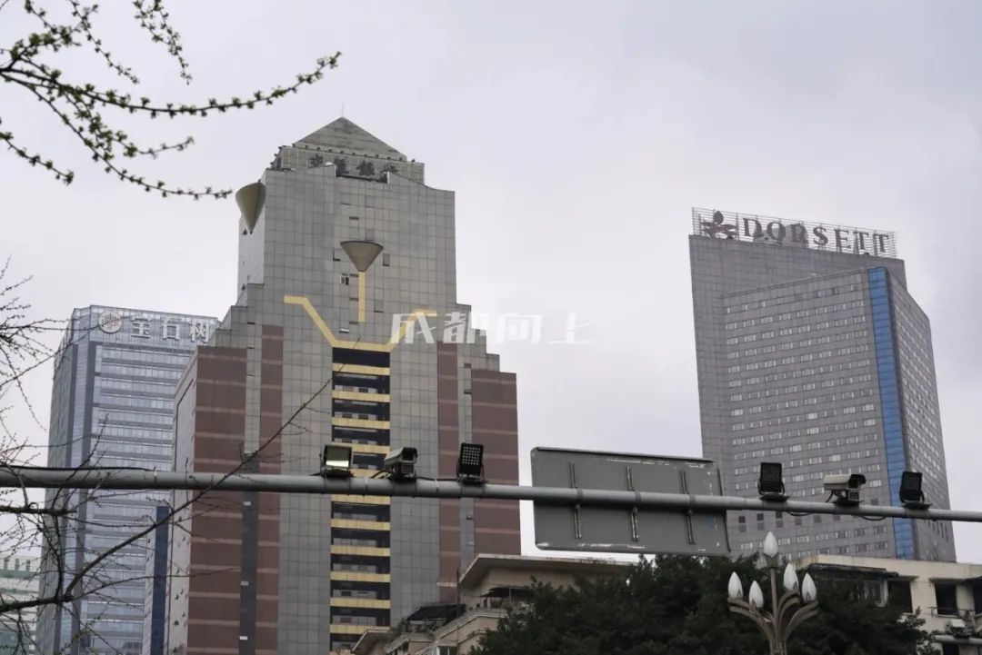 如何让成都变东京？网友：大LOGO收敛点