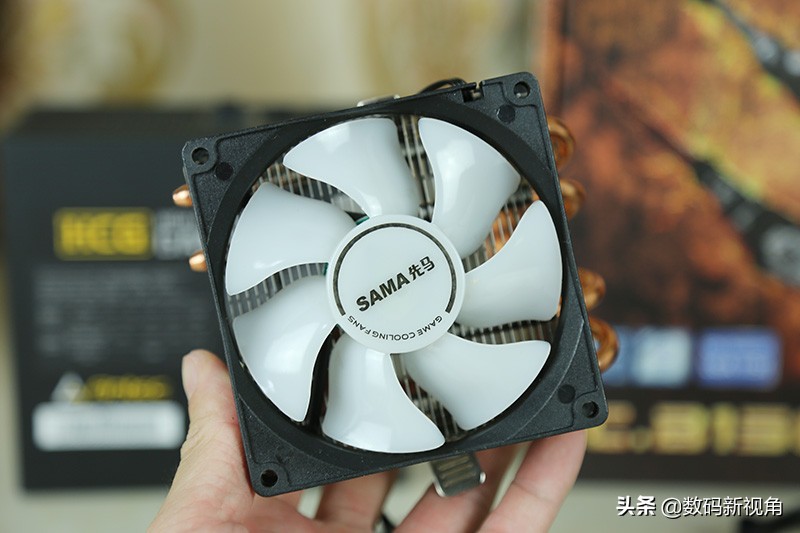 大牛拉小车的三轮摩托,大牛拉汽车视频