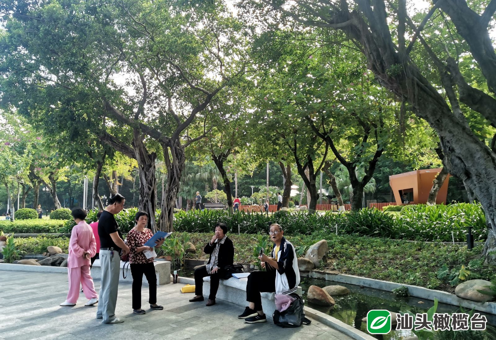 浸春湖水清鱼跃成网红打卡点！金砂公园经改造焕新颜