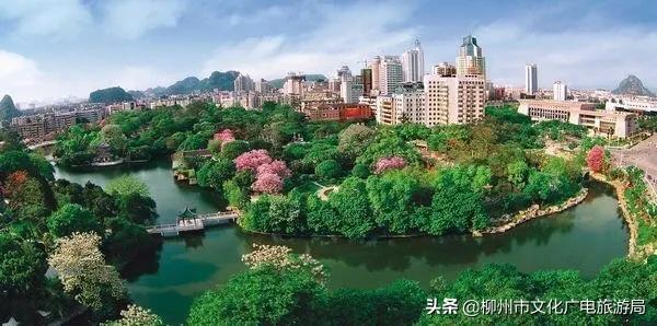 混动车自驾游,warmcar节假日