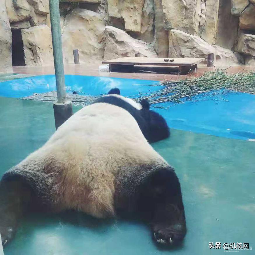 食全食美串串火锅,食全食美自助火锅