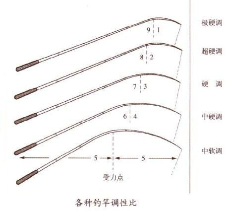 怎么判断鱼竿作假,如何辨别渔具是否为正品