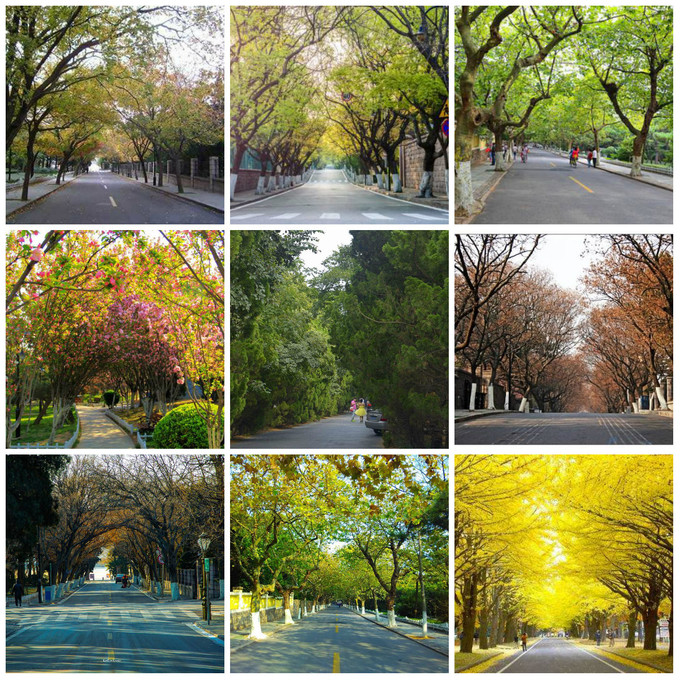 青岛海边景点路线推荐,青岛最美沿海公路怎么自驾