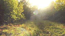 地铁直达！福州又将添一座新公园，花溪湿塘、水乡古桥...