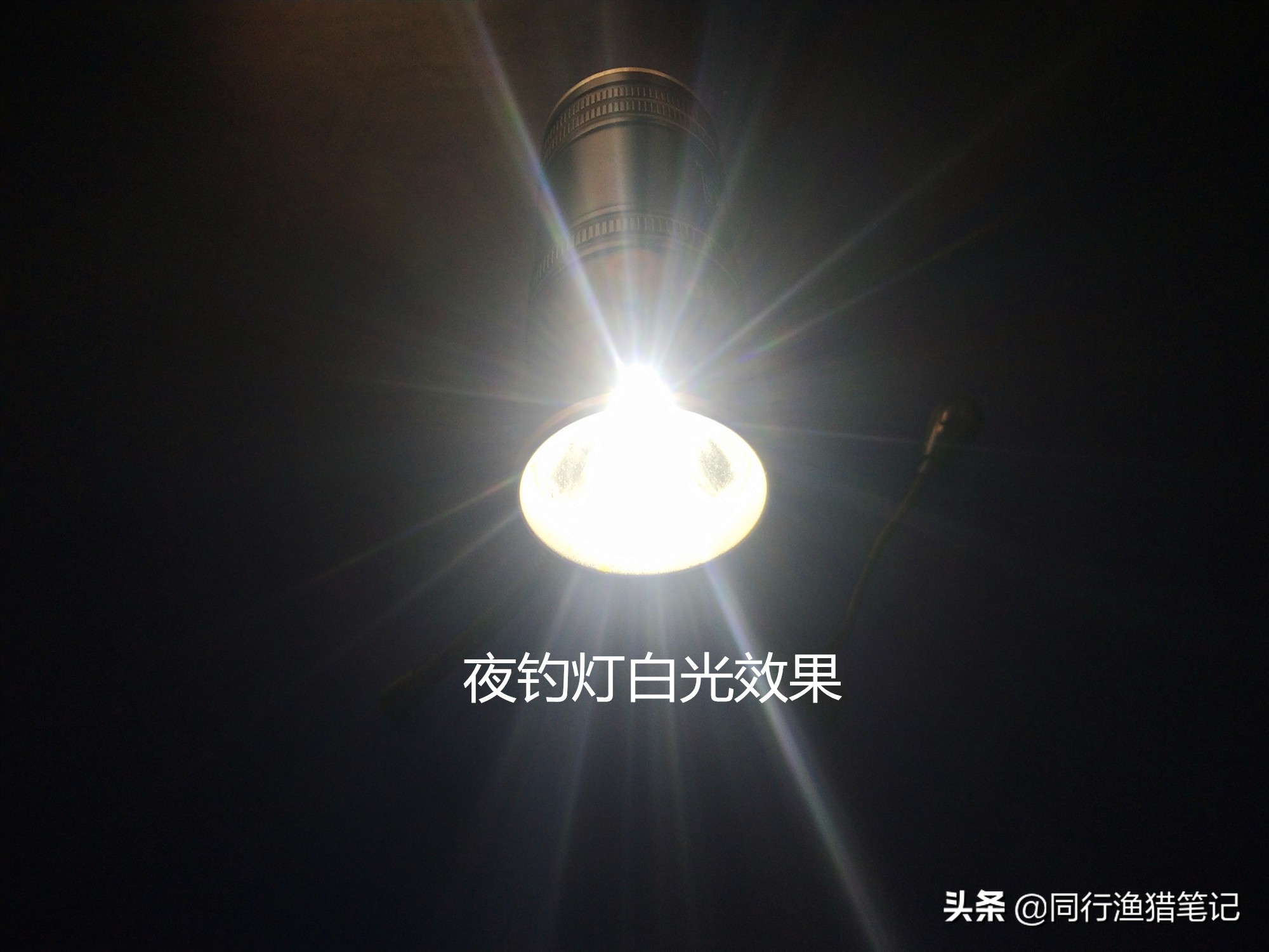 夜钓灯与夜光漂哪个更好用,夜钓用夜光棒好还是夜光漂