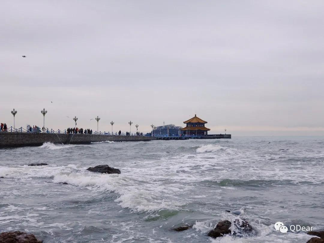 青岛景点春节免费开放通知,青岛六十岁老人去哪些景点免费