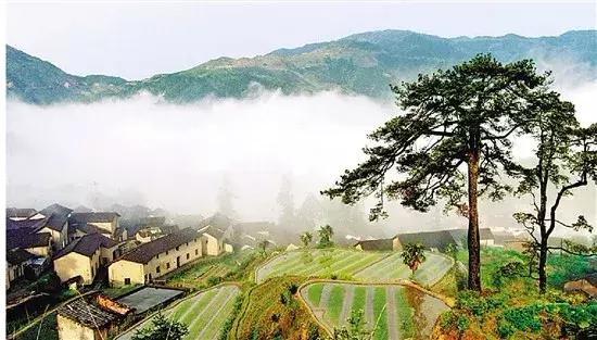 流转商业用地到期怎么办,农村土地流转证有效期多久