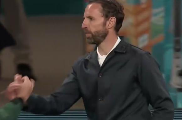 三狮军团变三喵军团,三喵变三狮