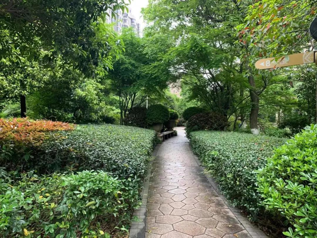 老城中的“奇葩”！这个经典盘的价值有没有被低估？