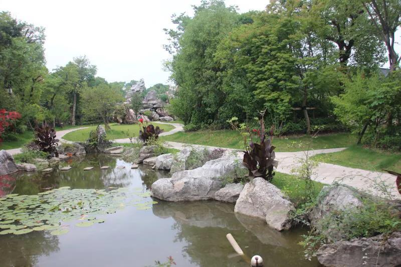 深圳花海公园地址在哪里,深圳中心河公园花海