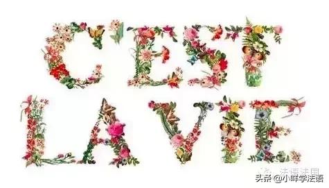 常用语法语零基础入门学习谐音,法语零基础入门学习日常用语