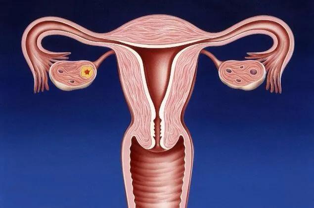 第一次做妇科检查什么感觉,女生第一次妇科检查