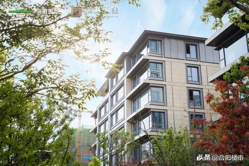 置地地产最新楼盘,置地最新楼盘