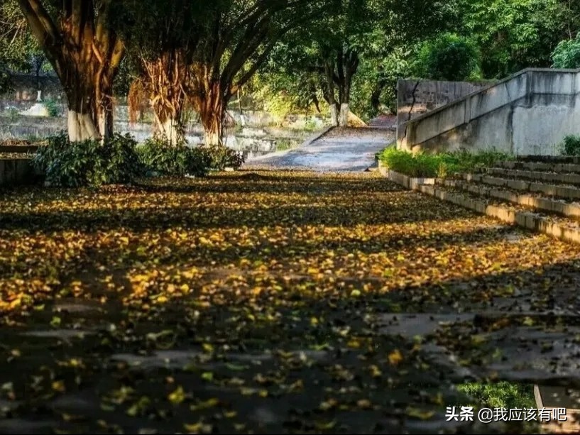 广东省梅县东山中学,广东梅县东山中学本科率