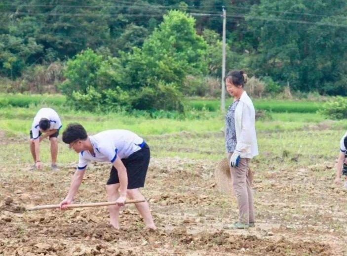 李玫瑾教授责任感比意志力更重要,李玫瑾意志力培养不是靠智力培养