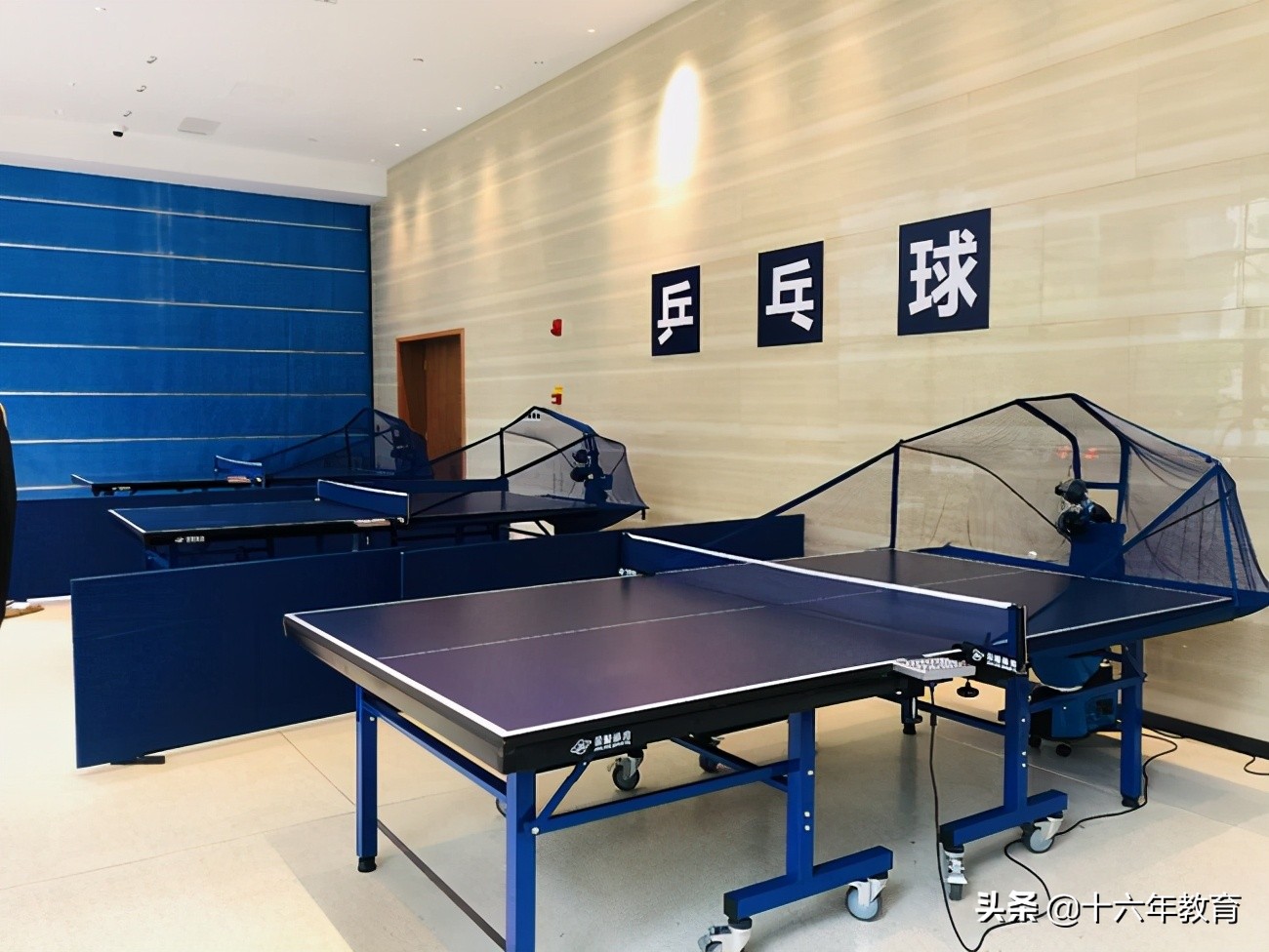 2024上海体育中考方案,2023中考体育解读