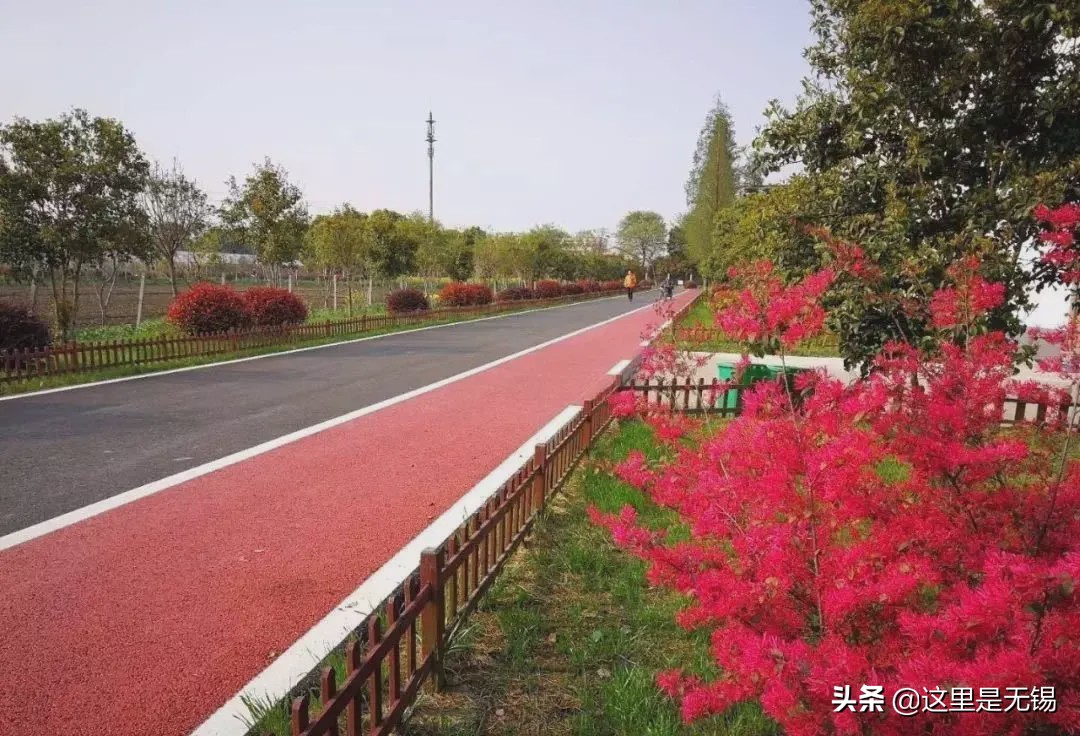 无锡网红打卡地彩虹跑道,无锡古运河健身步道