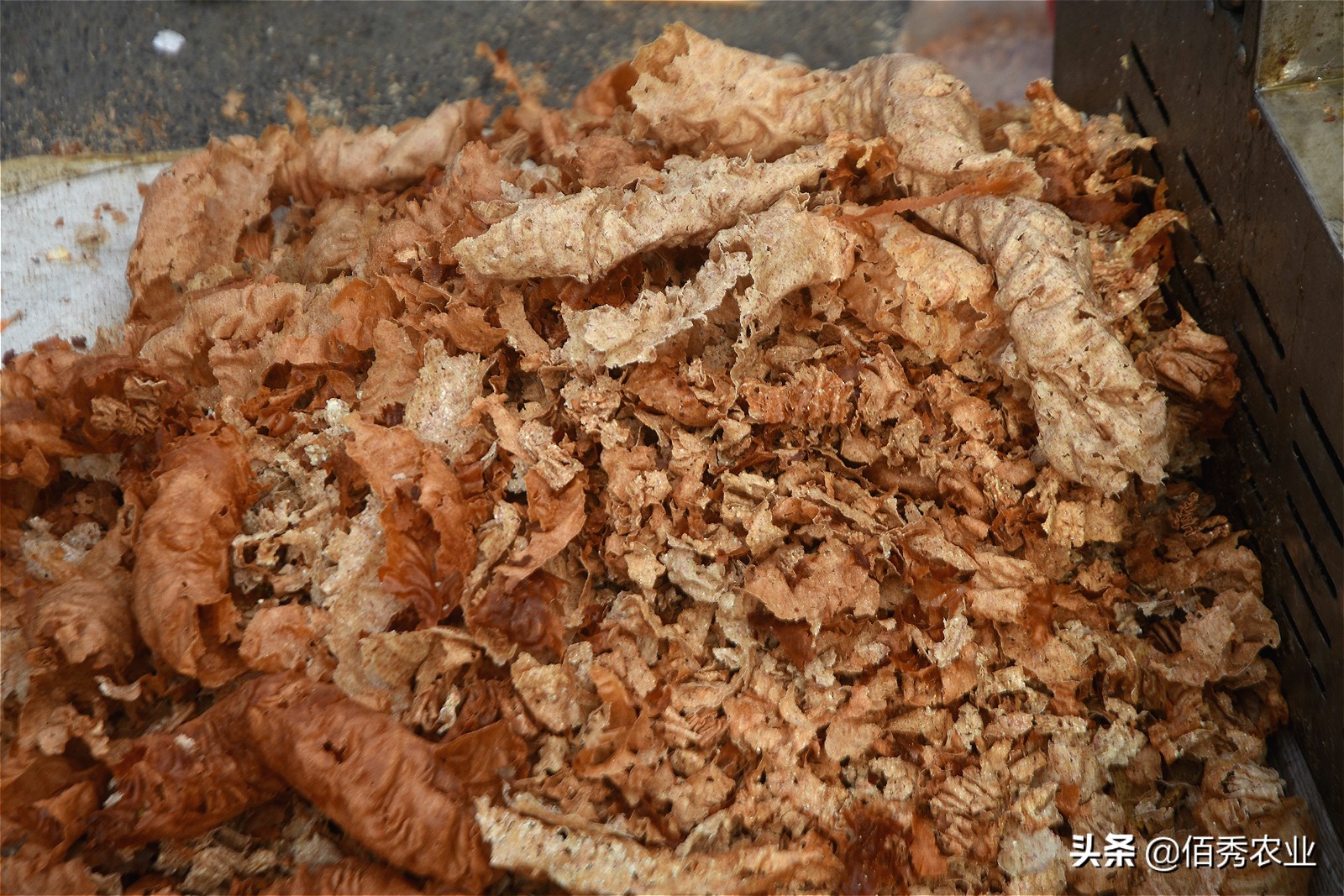 农村土榨的花生油到底能不能吃,农村自榨花生油能吃吗