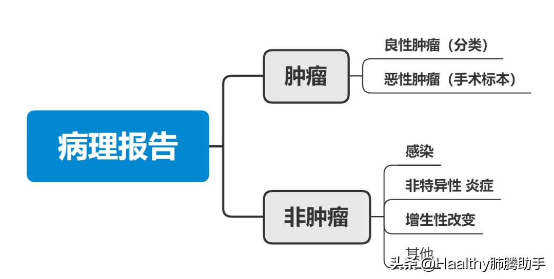 什么叫病理检查,肠镜病理检查是什么意思