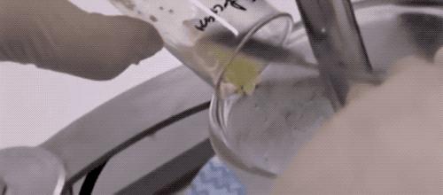 防晒霜放久了变成水,怎么判断防晒霜水油分离