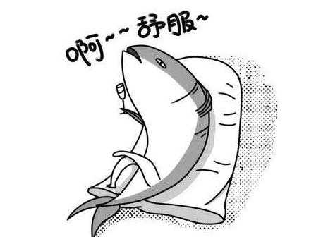 游戏代练全过程,游戏代练51万