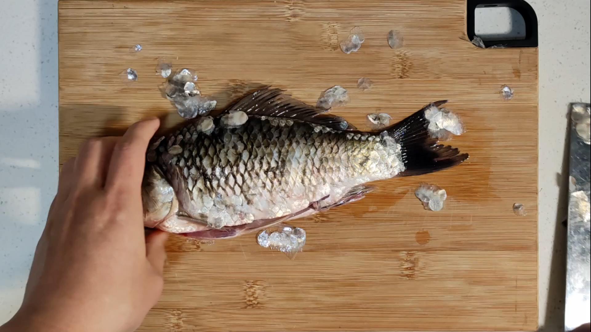 鱼去鳞小技巧,鱼去鳞新方法