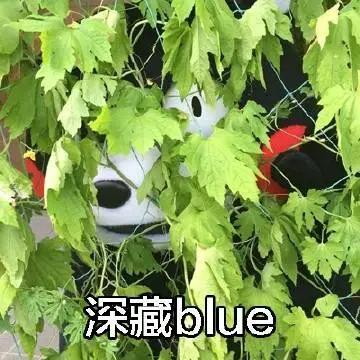 点开对方的qq空间显示情侣空间,点开朋友的qq空间显示情侣空间