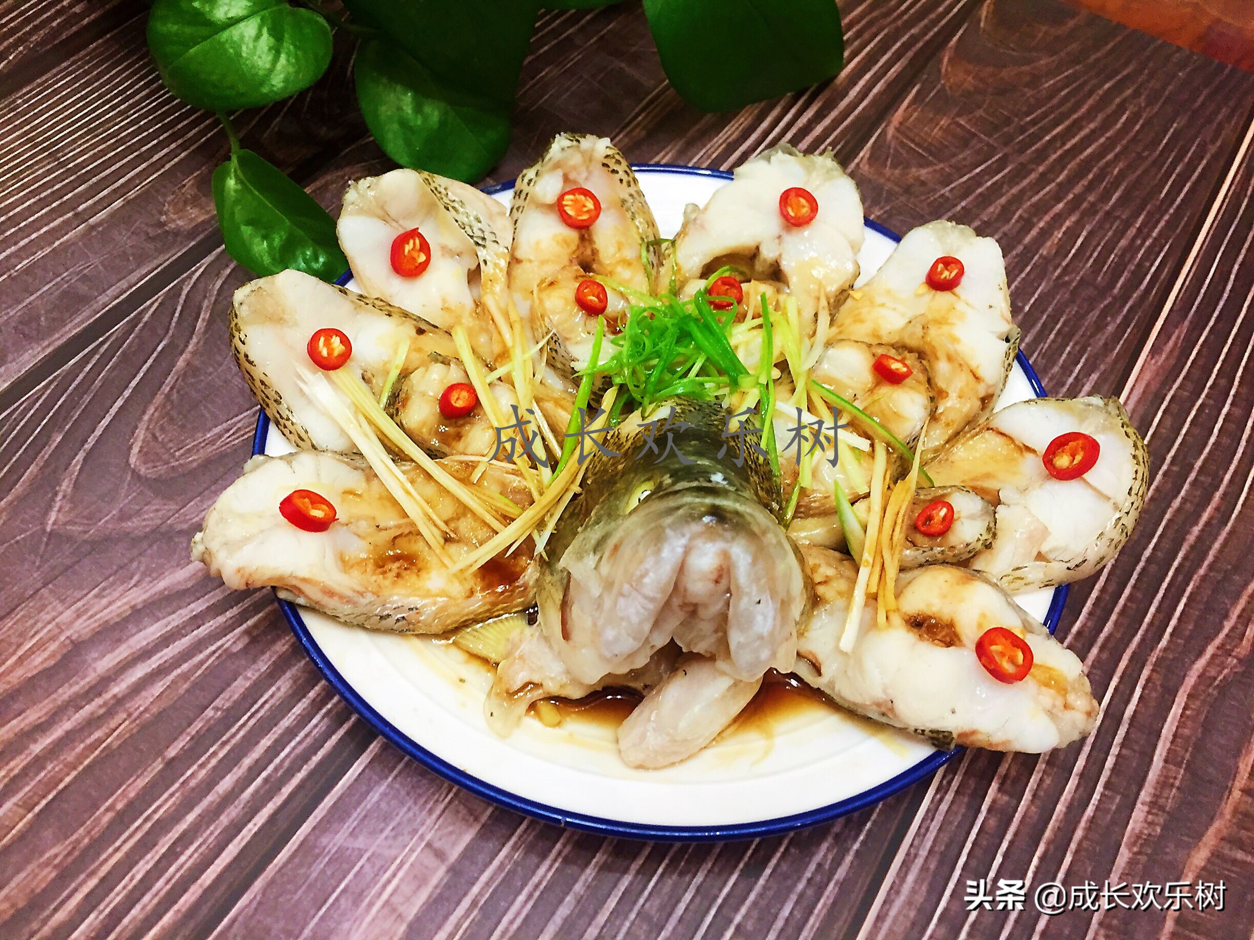 年夜饭必备的家常菜10道鱼的做法,怎样做鱼才好吃年夜饭