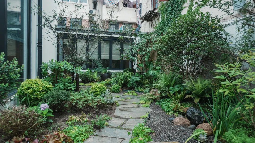 住在上海闹市400平的房子里，花开不败，开窗见池塘，太羡慕了