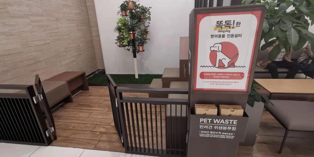 韩国宠物店推荐,韩国宠物店体验