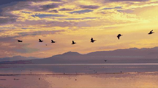 春明文旅季|穿汉服免费游窑湾，本周六彭祖园现场报名