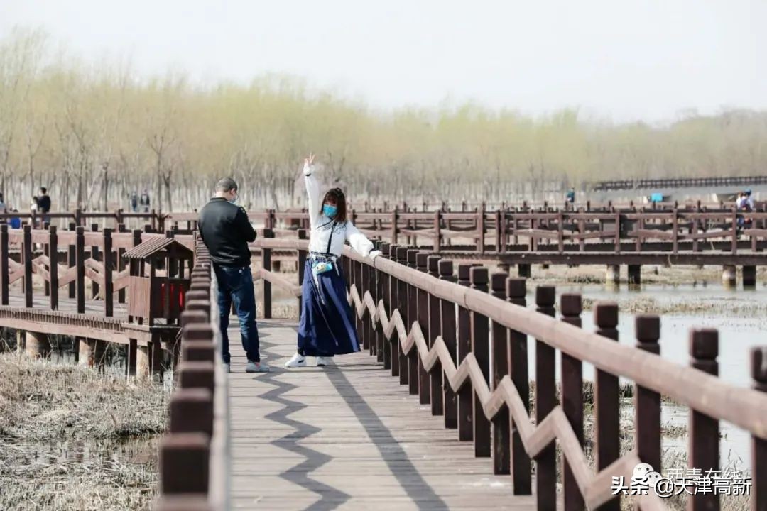 天津即将完工的公园,天津2022年四月开放的公园