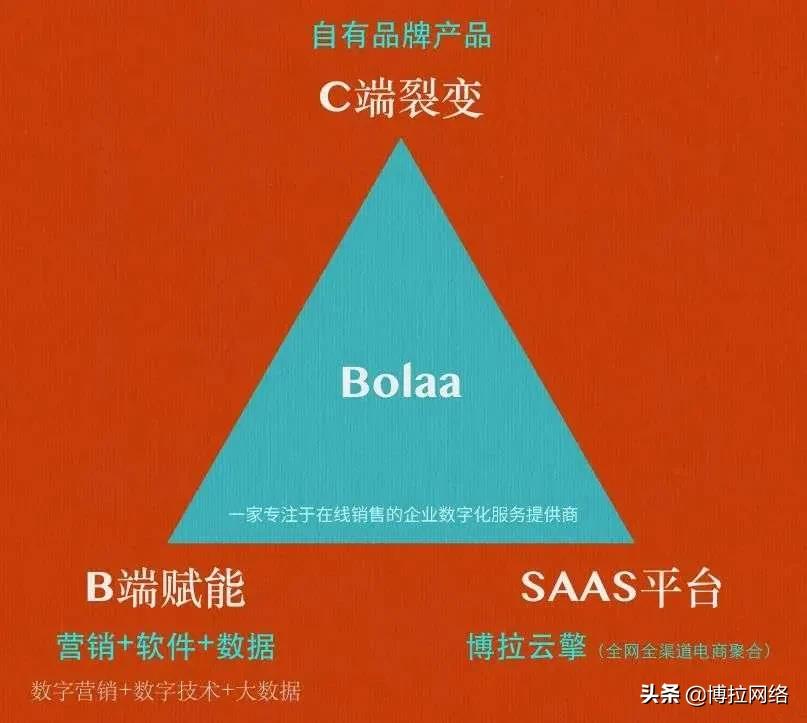 “隐秘”需求有待爆发，「博拉网络」向C端伸出了一根手指
