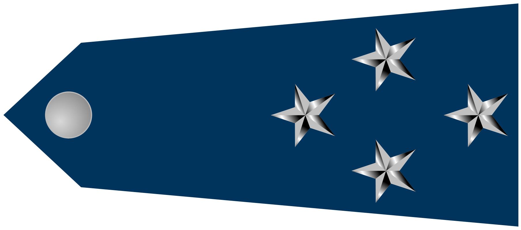 巴西军队标志,巴西海军军衔