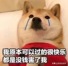 深圳60个最适合一日免费景点,暑假深圳旅游必去十大景点